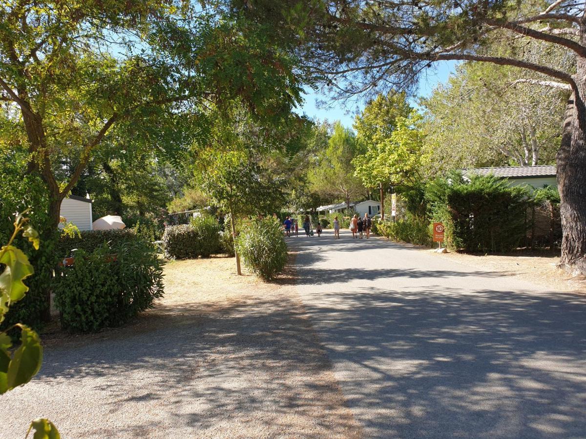Mobile Home Tout Confort Alexandre La Roque-d'Antheron Dış mekan fotoğraf